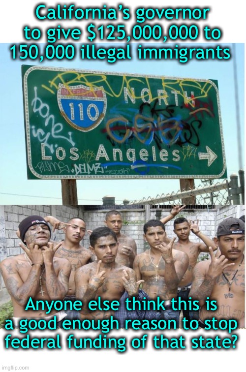 Insanity otherwise known as vote buying | California’s governor to give $125,000,000 to 150,000 illegal immigrants; Anyone else think this is a good enough reason to stop federal funding of that state? | image tagged in california | made w/ Imgflip meme maker