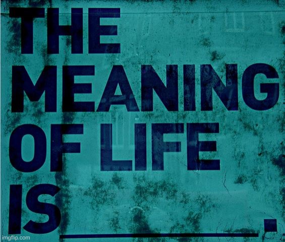 What is the meaning of life to you? | image tagged in what is the meaning of life | made w/ Imgflip meme maker