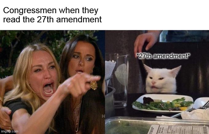 Woman Yelling At Cat Meme | Congressmen when they read the 27th amendment; *27th amendment* | image tagged in memes,woman yelling at cat | made w/ Imgflip meme maker