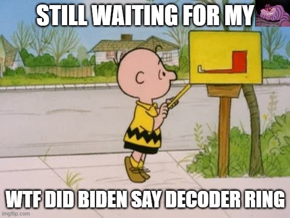 Even reading from a teleprompter, he makes no sense | STILL WAITING FOR MY; WTF DID BIDEN SAY DECODER RING | image tagged in charlie brown | made w/ Imgflip meme maker