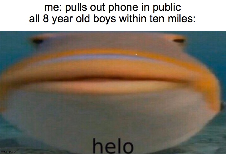 me: pulls out phone in public
all 8 year old boys within ten miles: | image tagged in helo,fish | made w/ Imgflip meme maker