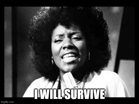 I will survive | I WILL SURVIVE | image tagged in i will survive | made w/ Imgflip meme maker