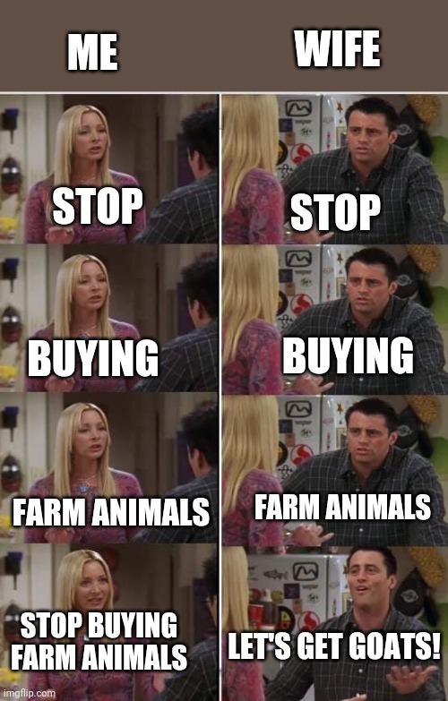 Friends Joey teached french | WIFE; ME; STOP; STOP; BUYING; BUYING; FARM ANIMALS; FARM ANIMALS; STOP BUYING FARM ANIMALS; LET'S GET GOATS! | image tagged in friends joey teached french | made w/ Imgflip meme maker