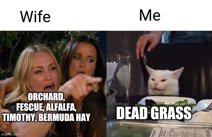 Woman Yelling At Cat Meme | Me; Wife; ORCHARD, FESCUE, ALFALFA, TIMOTHY, BERMUDA HAY; DEAD GRASS | image tagged in memes,woman yelling at cat | made w/ Imgflip meme maker