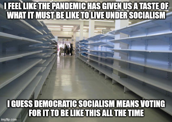 Democratic Socialism is Still Socialism | I FEEL LIKE THE PANDEMIC HAS GIVEN US A TASTE OF
WHAT IT MUST BE LIKE TO LIVE UNDER SOCIALISM; I GUESS DEMOCRATIC SOCIALISM MEANS VOTING
FOR IT TO BE LIKE THIS ALL THE TIME | image tagged in empty shelves | made w/ Imgflip meme maker