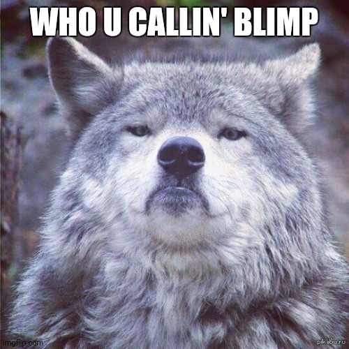 Gorgeous Wolf | WHO U CALLIN' BLIMP | image tagged in gorgeous wolf | made w/ Imgflip meme maker