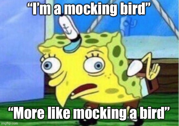 Mocking Spongebob | “I’m a mocking bird”; “More like mocking a bird” | image tagged in memes,mocking spongebob | made w/ Imgflip meme maker