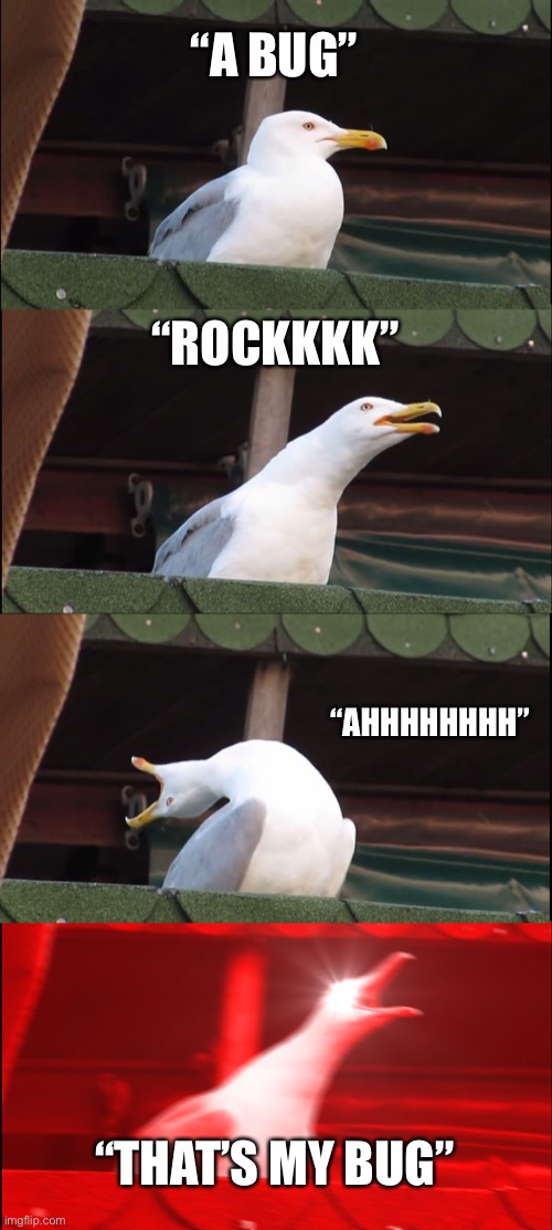 Inhaling Seagull | “A BUG”; “ROCKKKK”; “AHHHHHHHH”; “THAT’S MY BUG” | image tagged in memes,inhaling seagull | made w/ Imgflip meme maker