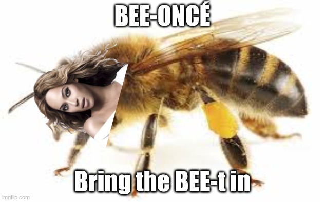 BEE-oncé | BEE-ONCÉ; Bring the BEE-t in | image tagged in beyonce,bees | made w/ Imgflip meme maker