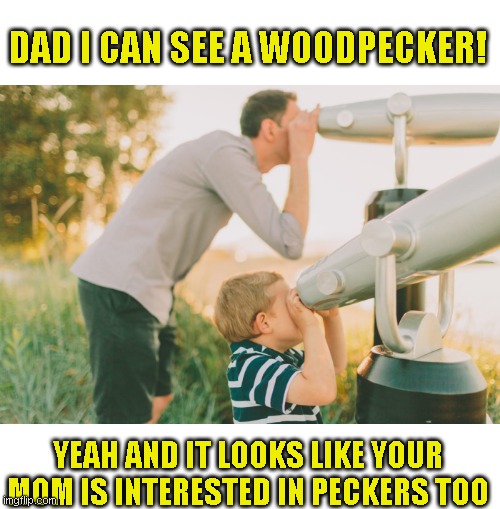 She sounds nice | DAD I CAN SEE A WOODPECKER! YEAH AND IT LOOKS LIKE YOUR MOM IS INTERESTED IN PECKERS TOO | image tagged in just a joke,i had worse punchlines | made w/ Imgflip meme maker