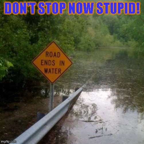 A warning or an encouragement? | DON'T STOP NOW STUPID! | image tagged in just a joke | made w/ Imgflip meme maker