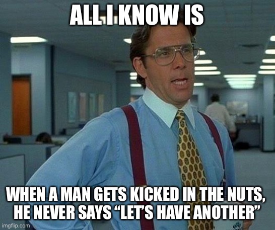 That Would Be Great Meme | ALL I KNOW IS WHEN A MAN GETS KICKED IN THE NUTS, 
HE NEVER SAYS “LET’S HAVE ANOTHER” | image tagged in memes,that would be great | made w/ Imgflip meme maker