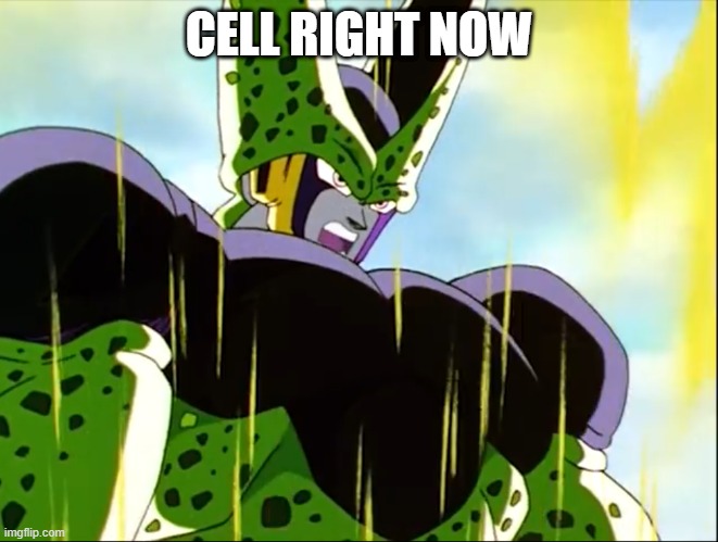 Perfect Cell | CELL RIGHT NOW | image tagged in perfect cell | made w/ Imgflip meme maker