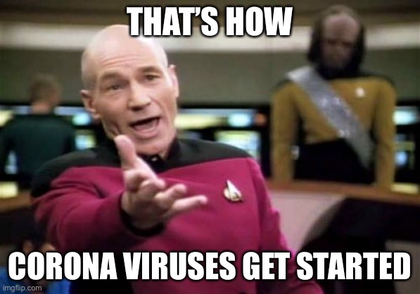 Picard Wtf Meme | THAT’S HOW CORONA VIRUSES GET STARTED | image tagged in memes,picard wtf | made w/ Imgflip meme maker