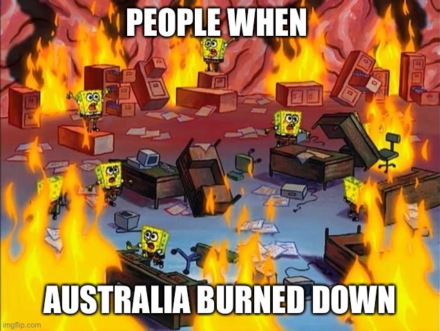 Spongebob In Australia Be Like | PEOPLE WHEN; AUSTRALIA BURNED DOWN | image tagged in spongebob fire | made w/ Imgflip meme maker