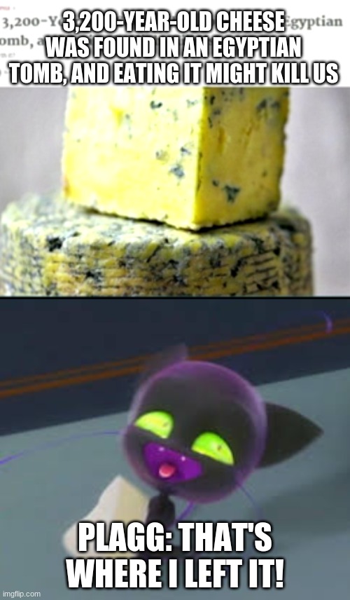 3,200-YEAR-OLD CHEESE WAS FOUND IN AN EGYPTIAN TOMB, AND EATING IT MIGHT KILL US; PLAGG: THAT'S WHERE I LEFT IT! | image tagged in cheese,miraculous ladybug | made w/ Imgflip meme maker