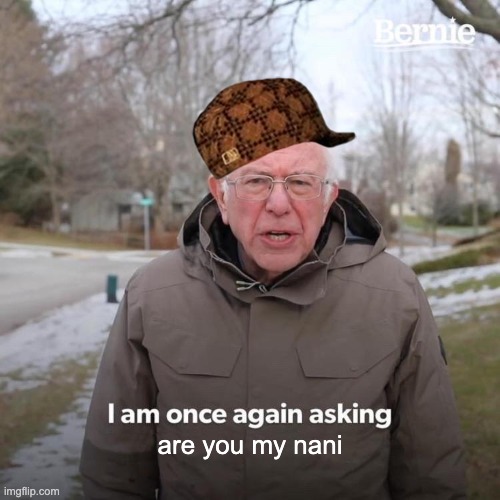 Bernie I Am Once Again Asking For Your Support | are you my nani | image tagged in memes,bernie i am once again asking for your support | made w/ Imgflip meme maker