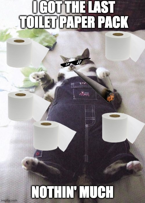 Fat Cat Meme | I GOT THE LAST TOILET PAPER PACK; NOTHIN' MUCH | image tagged in memes,fat cat | made w/ Imgflip meme maker