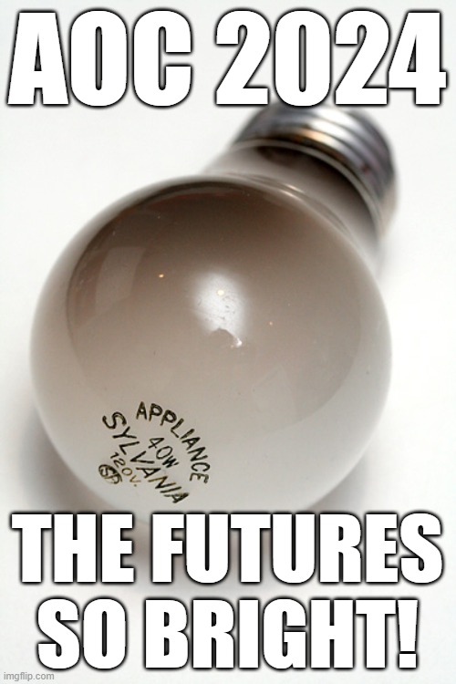 burnt out light bulb | AOC 2024 THE FUTURES SO BRIGHT! | image tagged in burnt out light bulb | made w/ Imgflip meme maker