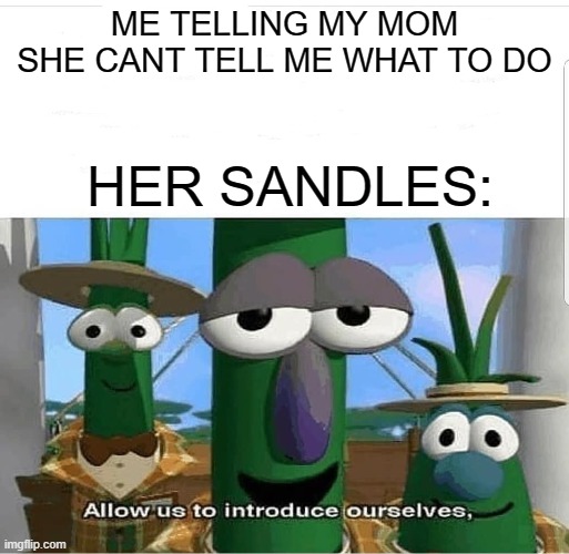 Allow us to introduce ourselves | ME TELLING MY MOM SHE CANT TELL ME WHAT TO DO; HER SANDLES: | image tagged in allow us to introduce ourselves | made w/ Imgflip meme maker