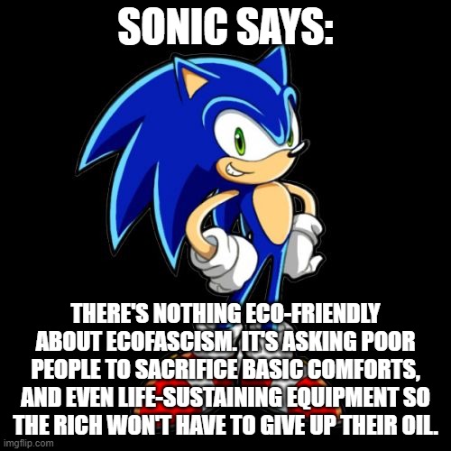 You're Too Slow Sonic | SONIC SAYS:; THERE'S NOTHING ECO-FRIENDLY ABOUT ECOFASCISM. IT'S ASKING POOR PEOPLE TO SACRIFICE BASIC COMFORTS, AND EVEN LIFE-SUSTAINING EQUIPMENT SO THE RICH WON'T HAVE TO GIVE UP THEIR OIL. | image tagged in memes,you're too slow sonic | made w/ Imgflip meme maker