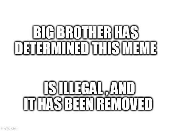 Blank White Template | BIG BROTHER HAS DETERMINED THIS MEME; IS ILLEGAL , AND IT HAS BEEN REMOVED | image tagged in blank white template | made w/ Imgflip meme maker