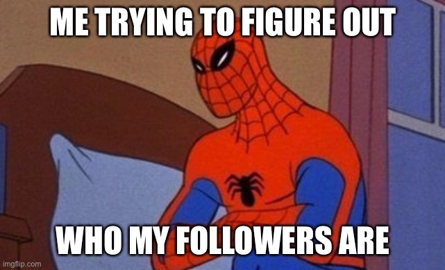 Seriously, is there a way to tell who’s following me? | ME TRYING TO FIGURE OUT; WHO MY FOLLOWERS ARE | image tagged in you're horrible spider-man,spiderman,funny,memes,imgflip,followers | made w/ Imgflip meme maker
