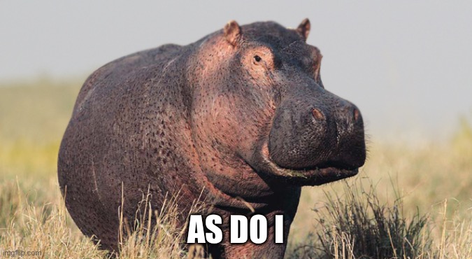 Hippo | AS DO I | image tagged in hippo | made w/ Imgflip meme maker