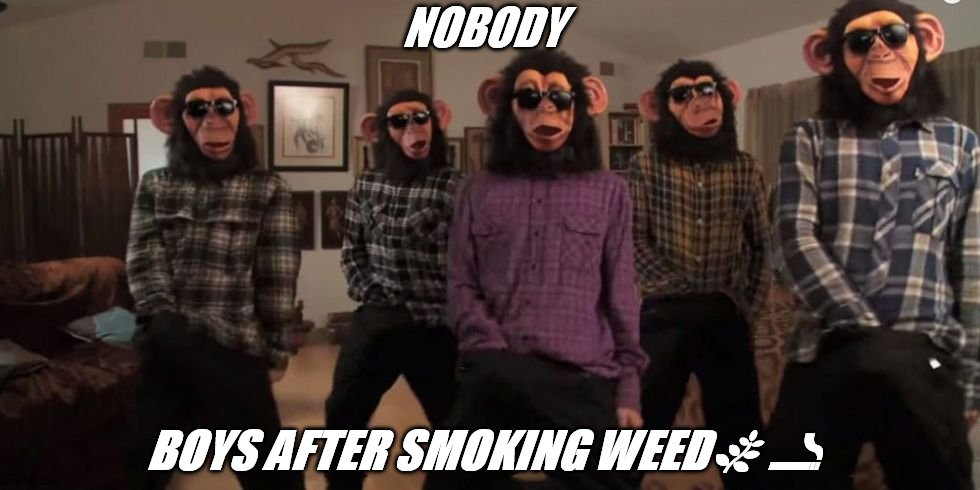 situation relief | NOBODY; BOYS AFTER SMOKING WEED🌿 🚬 | image tagged in situation relief | made w/ Imgflip meme maker