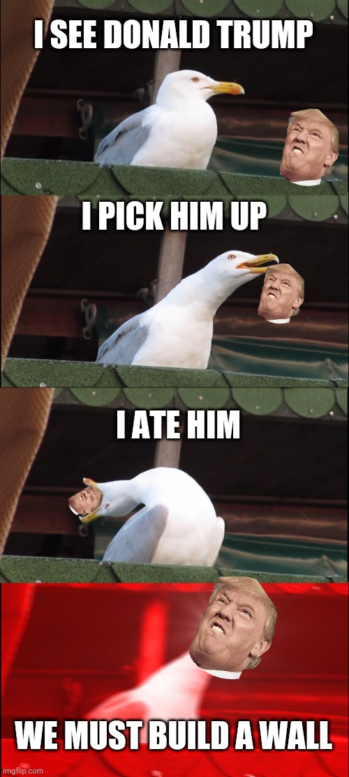Inhaling Seagull | I SEE DONALD TRUMP; I PICK HIM UP; I ATE HIM; WE MUST BUILD A WALL | image tagged in memes,inhaling seagull | made w/ Imgflip meme maker