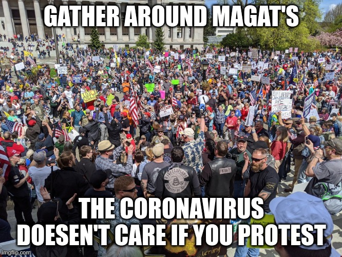 Protesting a Virus | GATHER AROUND MAGAT'S; THE CORONAVIRUS DOESEN'T CARE IF YOU PROTEST | image tagged in maga,fools,trump,protest,jokers | made w/ Imgflip meme maker
