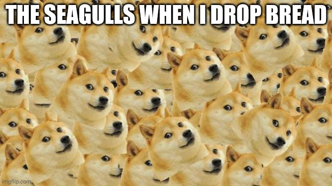 Multi Doge Meme | THE SEAGULLS WHEN I DROP BREAD | image tagged in memes,multi doge | made w/ Imgflip meme maker