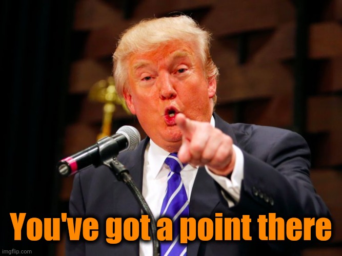 trump point | You've got a point there | image tagged in trump point | made w/ Imgflip meme maker