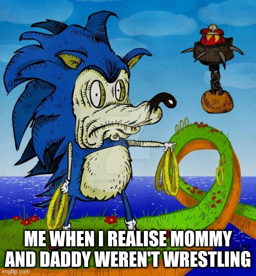 disturbed sonic | ME WHEN I REALISE MOMMY AND DADDY WEREN'T WRESTLING | image tagged in disturbed sonic | made w/ Imgflip meme maker