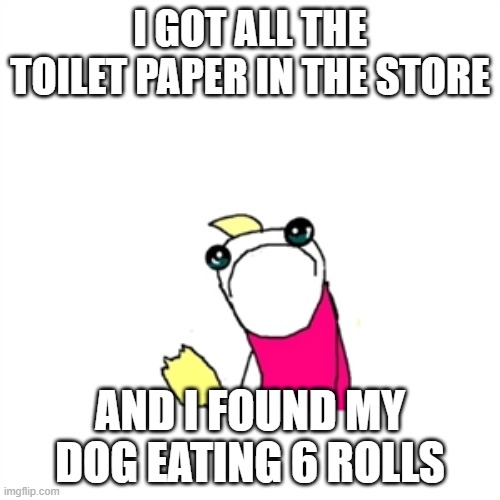 Sad X All The Y | I GOT ALL THE TOILET PAPER IN THE STORE; AND I FOUND MY DOG EATING 6 ROLLS | image tagged in memes,sad x all the y | made w/ Imgflip meme maker