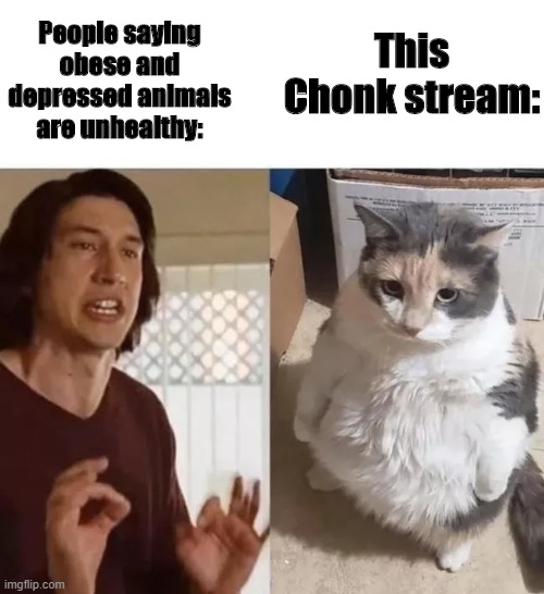 This Chonk stream:; People saying obese and depressed animals are unhealthy: | made w/ Imgflip meme maker