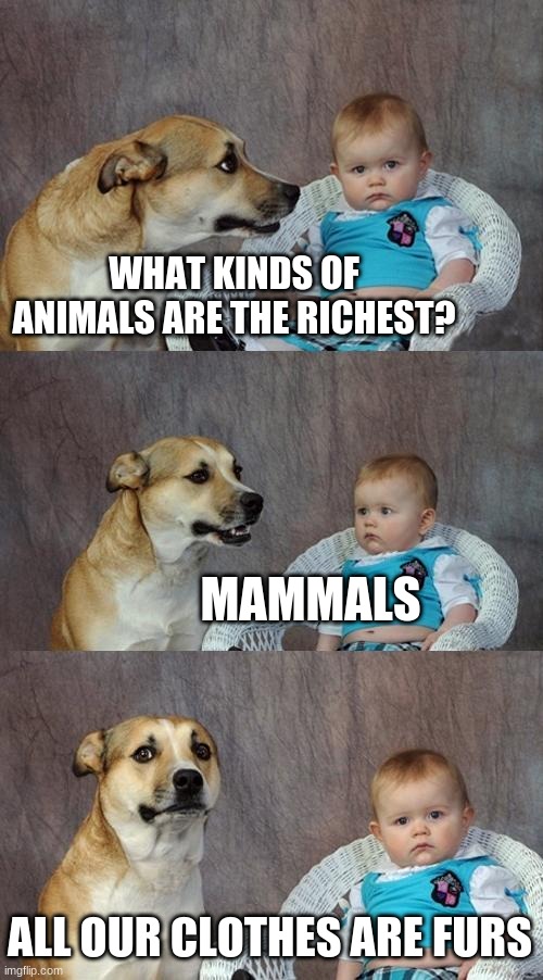 Dad Joke Dog Meme | WHAT KINDS OF ANIMALS ARE THE RICHEST? MAMMALS; ALL OUR CLOTHES ARE FURS | image tagged in memes,dad joke dog | made w/ Imgflip meme maker