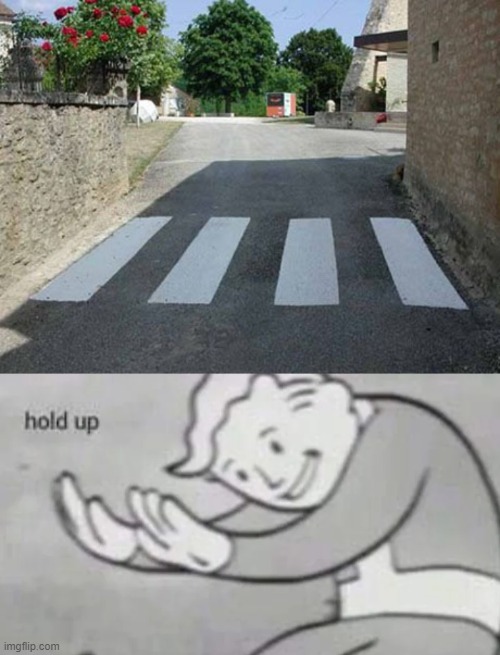 why is this real | image tagged in fallout hold up,road crossing,memes,funny | made w/ Imgflip meme maker
