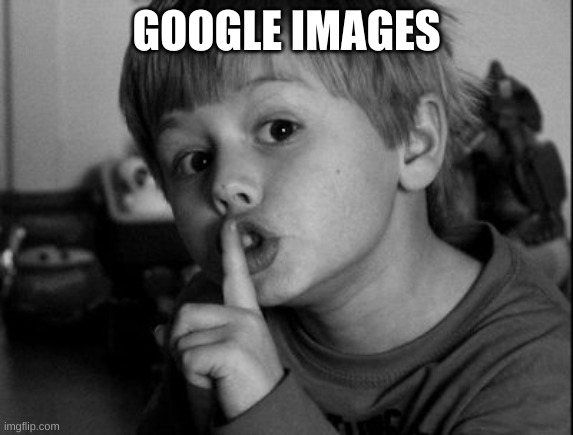 Shhhh | GOOGLE IMAGES | image tagged in shhhh | made w/ Imgflip meme maker