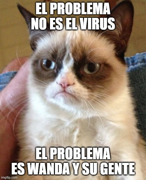 Grumpy Cat Meme | EL PROBLEMA NO ES EL VIRUS; EL PROBLEMA ES WANDA Y SU GENTE | image tagged in memes,grumpy cat | made w/ Imgflip meme maker