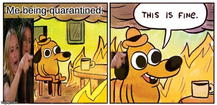 This Is Fine | Me being quarantined: | image tagged in memes,this is fine | made w/ Imgflip meme maker