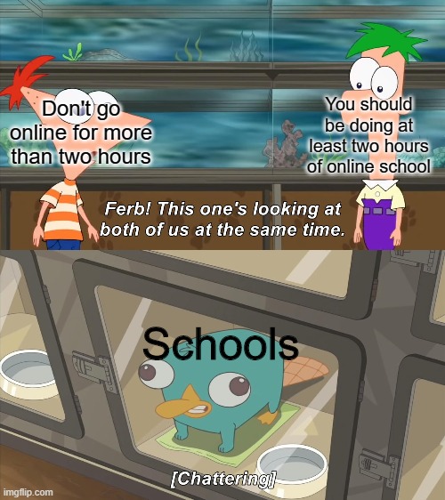 This Ones Looking At Both of Us | Don't go online for more than two hours; You should be doing at least two hours of online school; Schools | image tagged in phineas and ferb | made w/ Imgflip meme maker