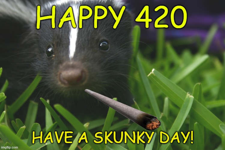 420 Day | HAPPY 420; HAVE A SKUNKY DAY! | image tagged in 420,pot,weed,buzzed,high,marijuana | made w/ Imgflip meme maker