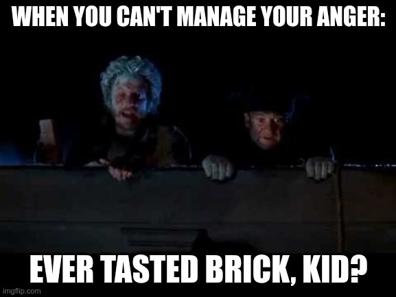Home Alone 2 meme: | WHEN YOU CAN'T MANAGE YOUR ANGER:; EVER TASTED BRICK, KID? | image tagged in home alone,marv,crazy maniac | made w/ Imgflip meme maker