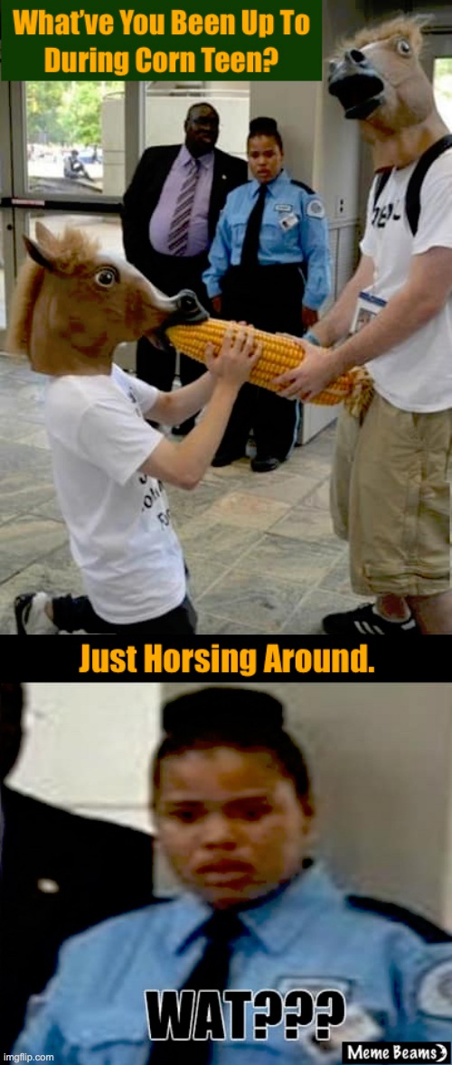 What've You Been Up To During Corn Teen? Just Horsing Around. | image tagged in what've you been up to during corn teen just horsing around | made w/ Imgflip meme maker