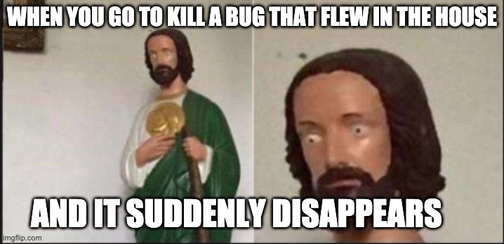 Wide eyed jesus | WHEN YOU GO TO KILL A BUG THAT FLEW IN THE HOUSE; AND IT SUDDENLY DISAPPEARS | image tagged in wide eyed jesus | made w/ Imgflip meme maker