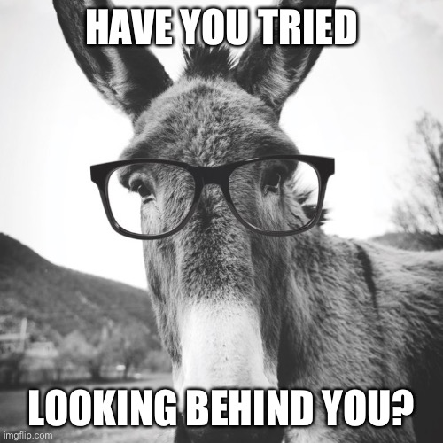 smart ass | HAVE YOU TRIED LOOKING BEHIND YOU? | image tagged in smart ass | made w/ Imgflip meme maker