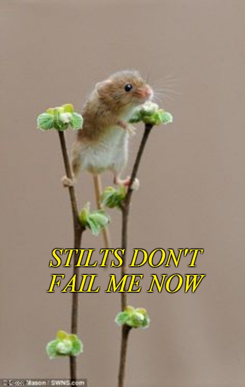 funny | STILTS DON'T FAIL ME NOW | made w/ Imgflip meme maker