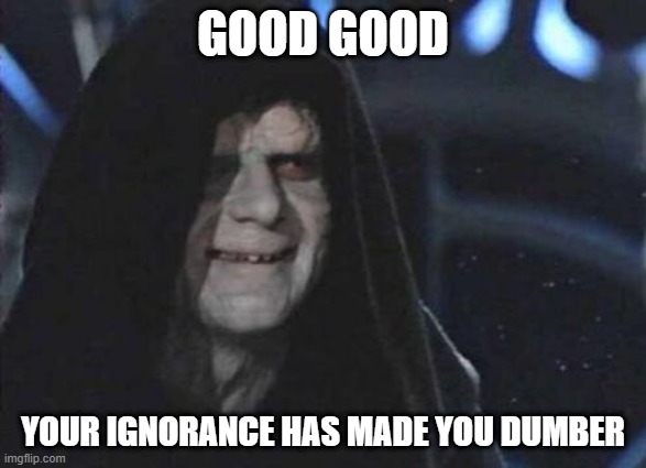 Your Ingorance has made you dumber | GOOD GOOD; YOUR IGNORANCE HAS MADE YOU DUMBER | image tagged in emperor palpatine,good good,your hate has made you powerful | made w/ Imgflip meme maker