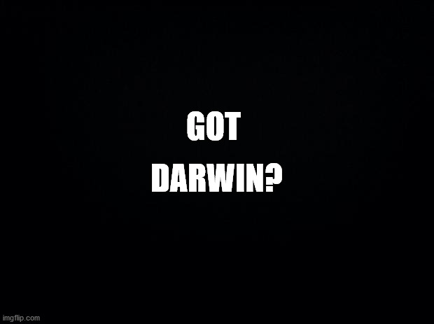 Black background | GOT; DARWIN? | image tagged in black background | made w/ Imgflip meme maker